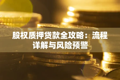 北京股权质押贷款全攻略：流程详解与风险预警