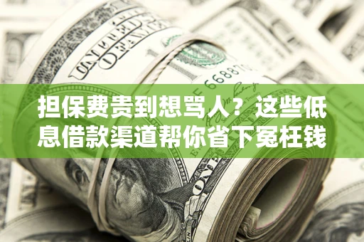 北京担保费贵到想骂人？这些低息借款渠道帮你省下冤枉钱