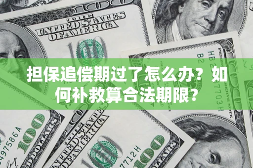 北京担保追偿期过了怎么办？如何补救算合法期限？