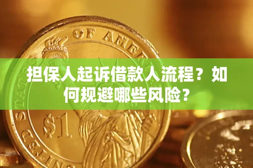 北京担保人起诉借款人流程？如何规避哪些风险？